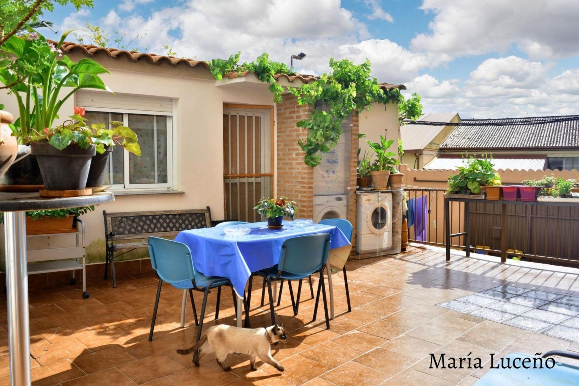 Comfortable Apartment In Caceres 55 M² Welcoming Terrace Exterior foto